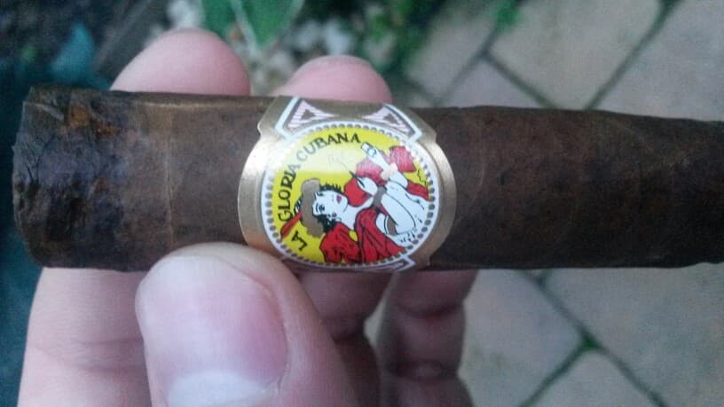 (White Box) Maduro