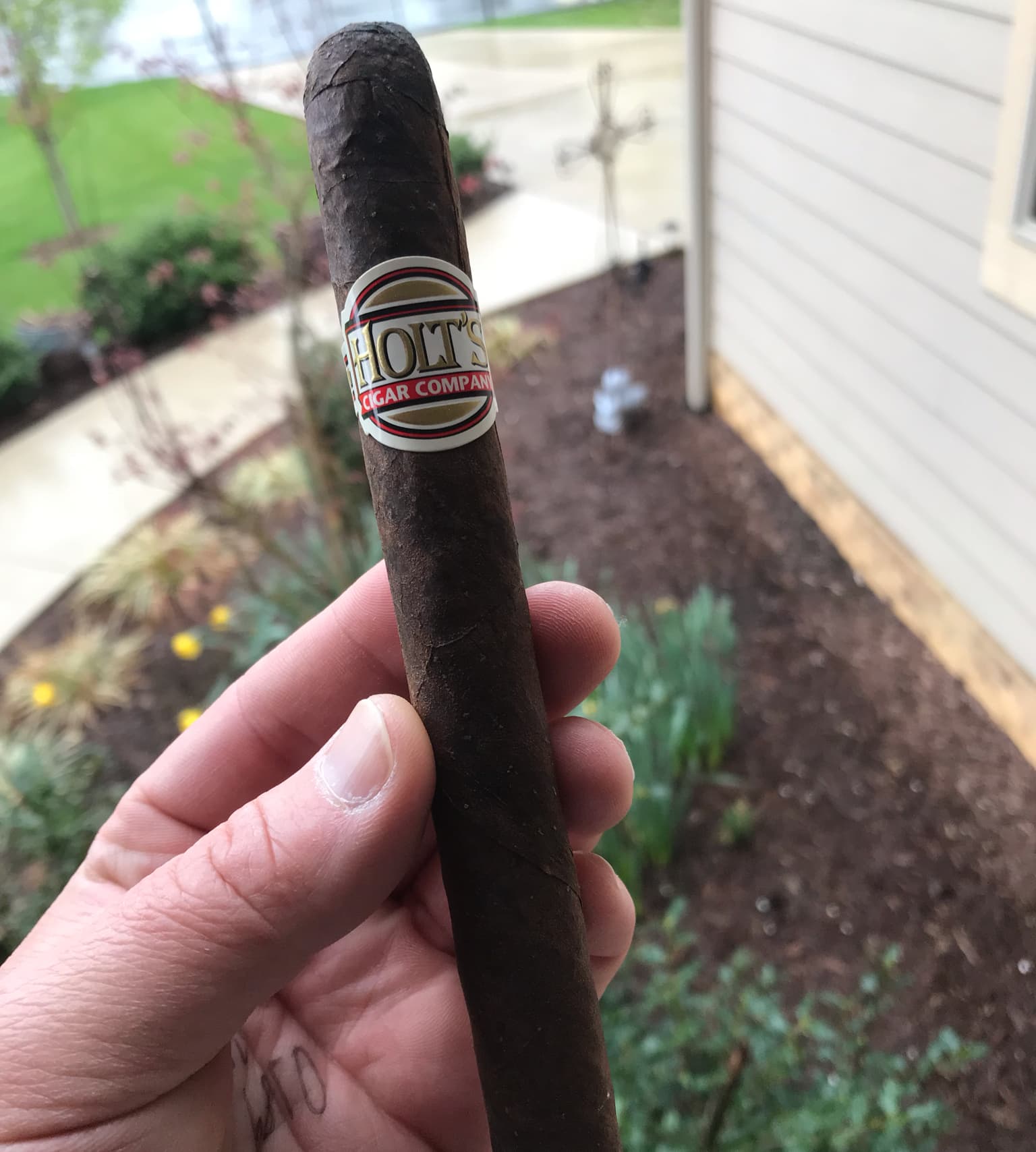 #35 Churchill Corojo