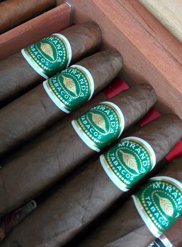Petit Torpedo