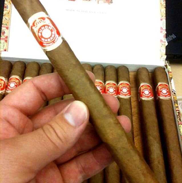 (Core Line) Double Maduro (oscuro)