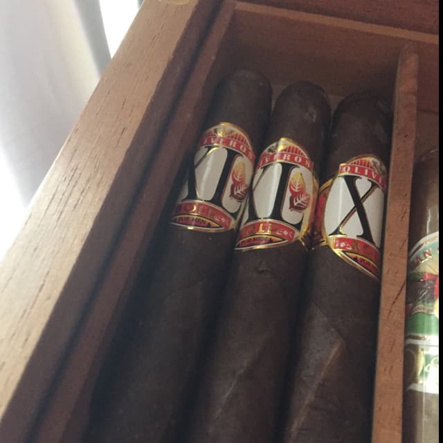 XL Bold
