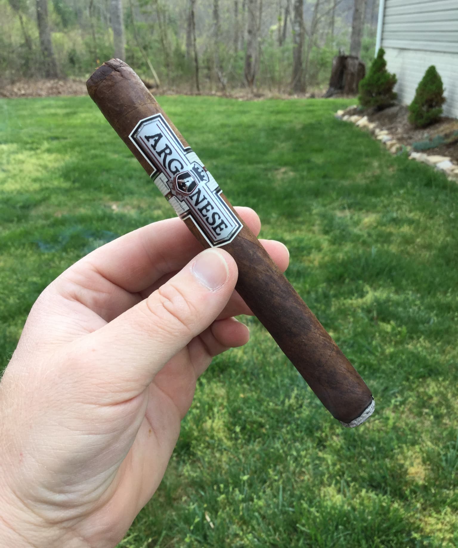 Maduro Ambassador