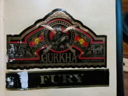 Dragon Fury