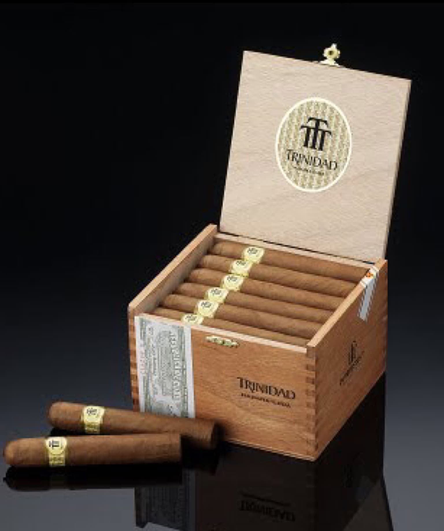 Robusto T