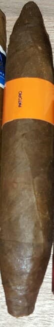 Serie P Jeroboam