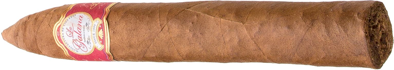 Torpedo Clasica