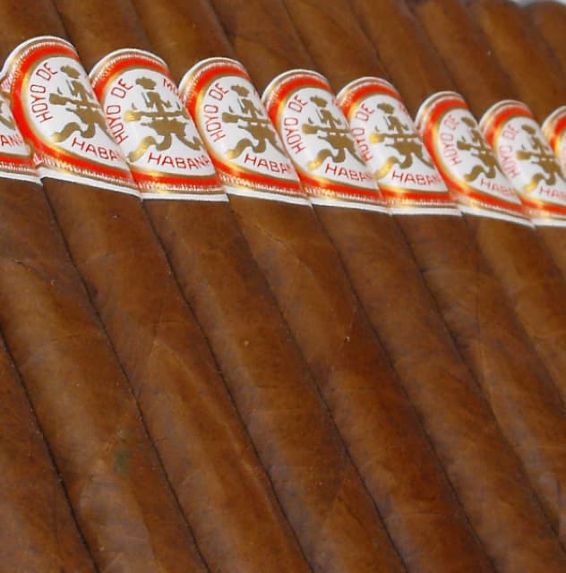 Double Corona