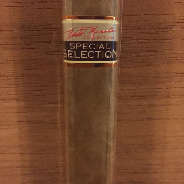 Special Selection Gordito Torpedo Rosado