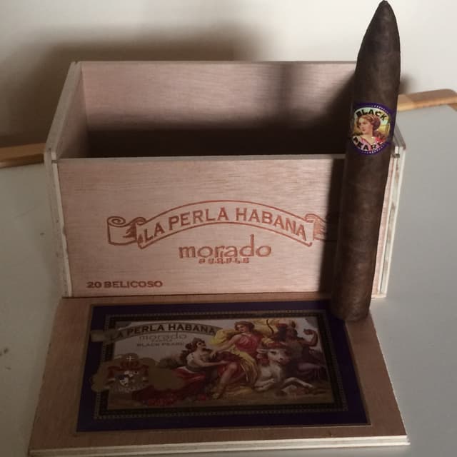 Morado, Belicoso