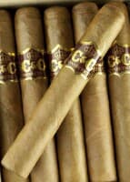 Connecticut Robusto