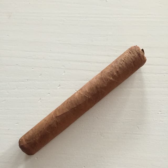 Robusto
