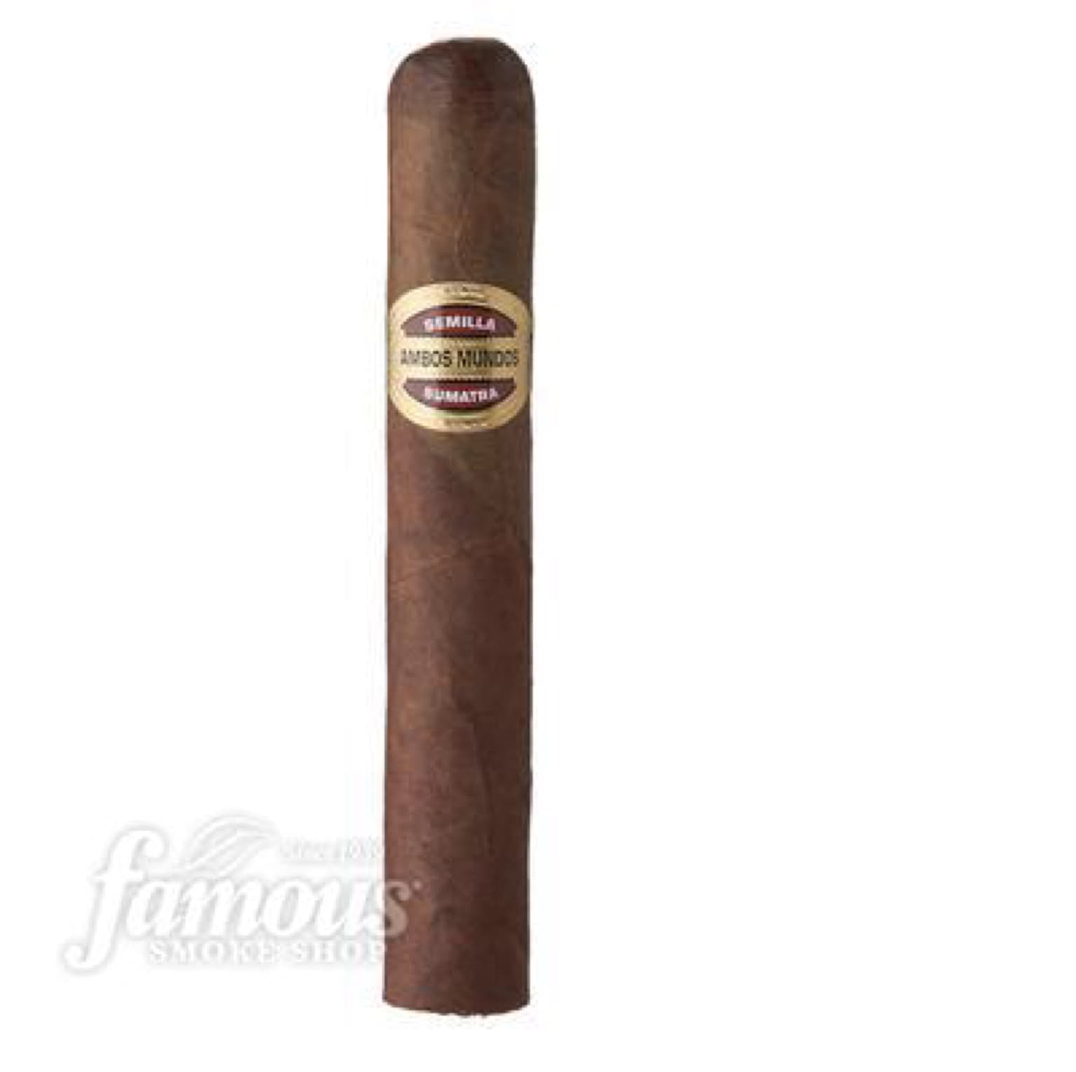 Ambos Mundos Sumatra #2
