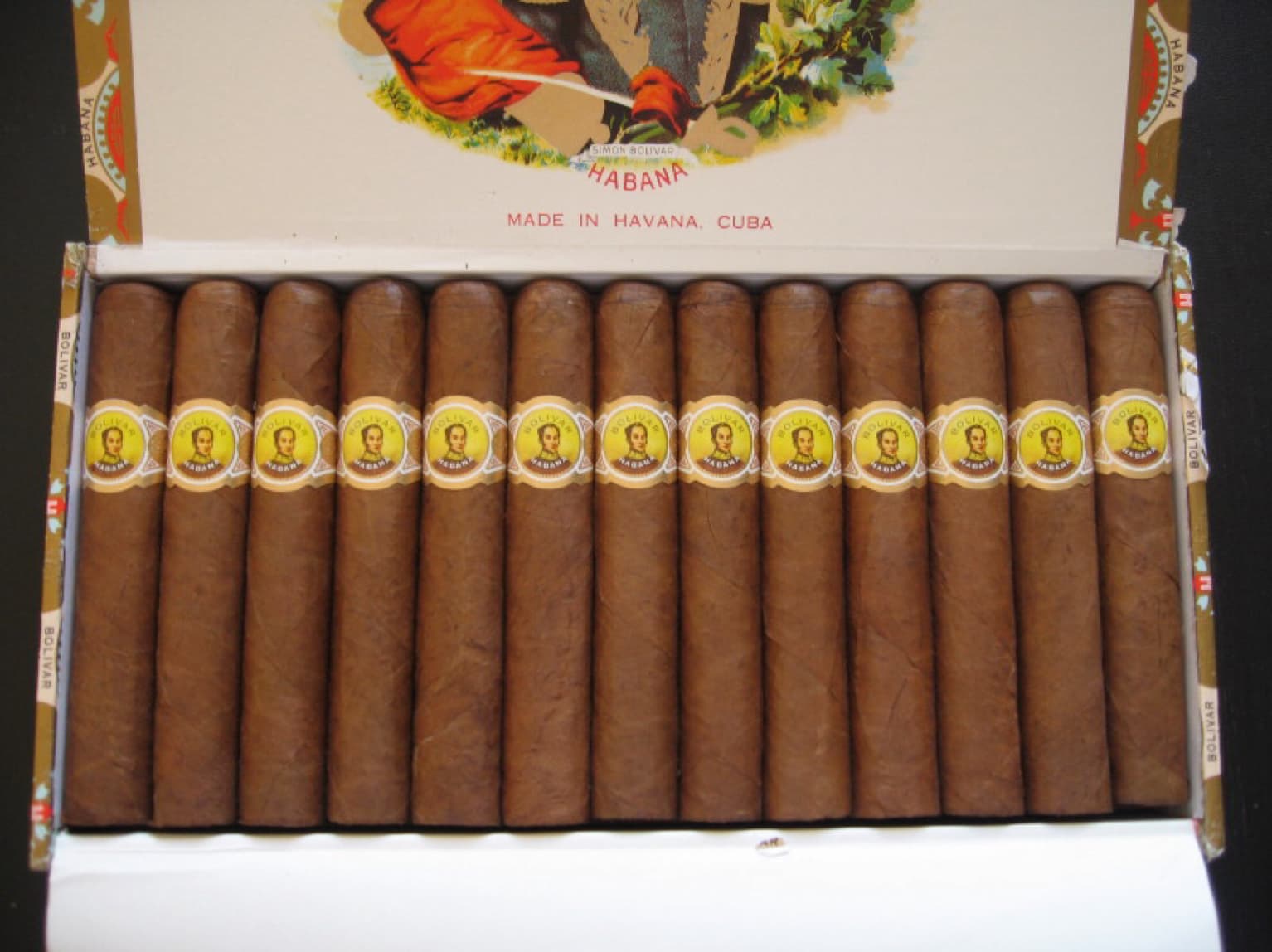 Corona Junior