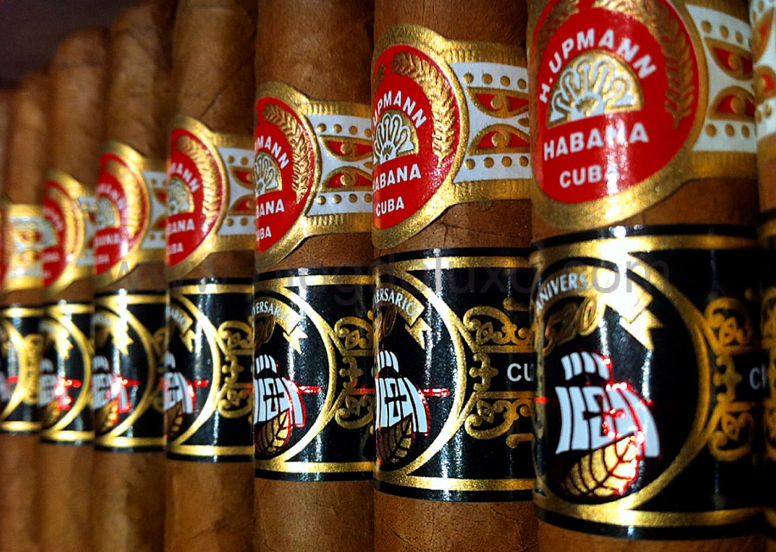 520 Aniversario (2012) Robusto