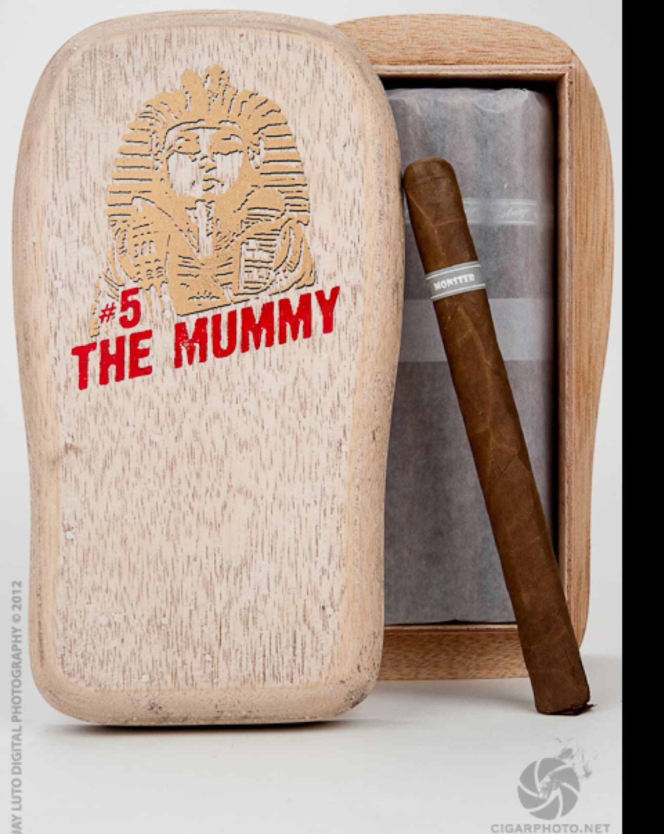 Monster Series: The Mummy (2012)