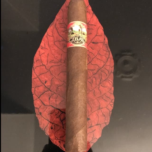 Toro