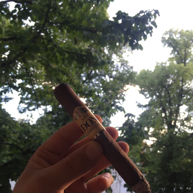 Corona