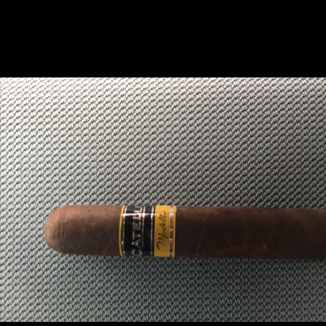 Modella Shorty Robusto