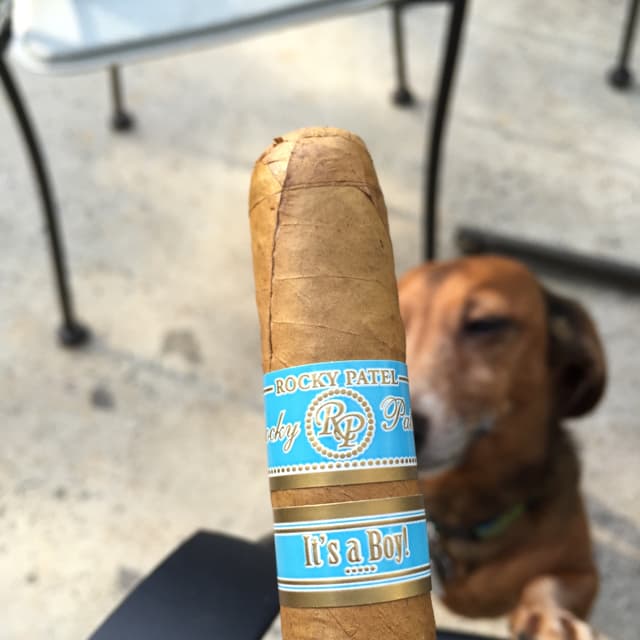 It's A Boy/It's A Girl