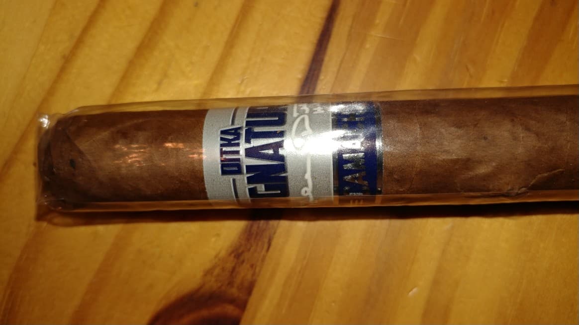 Ditka Signature