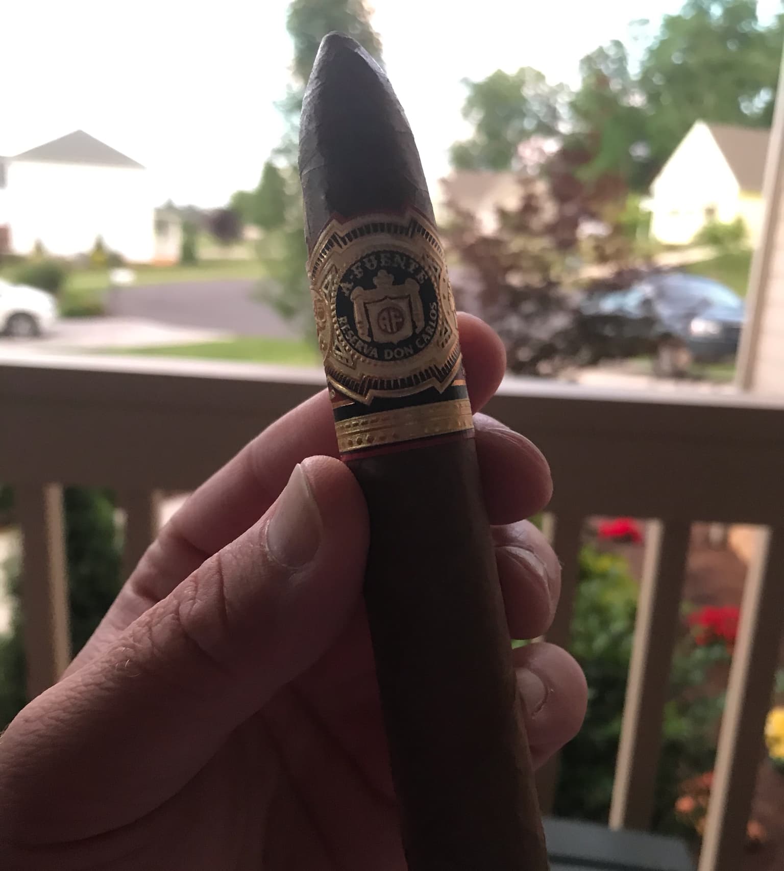 Don Carlos Belicoso