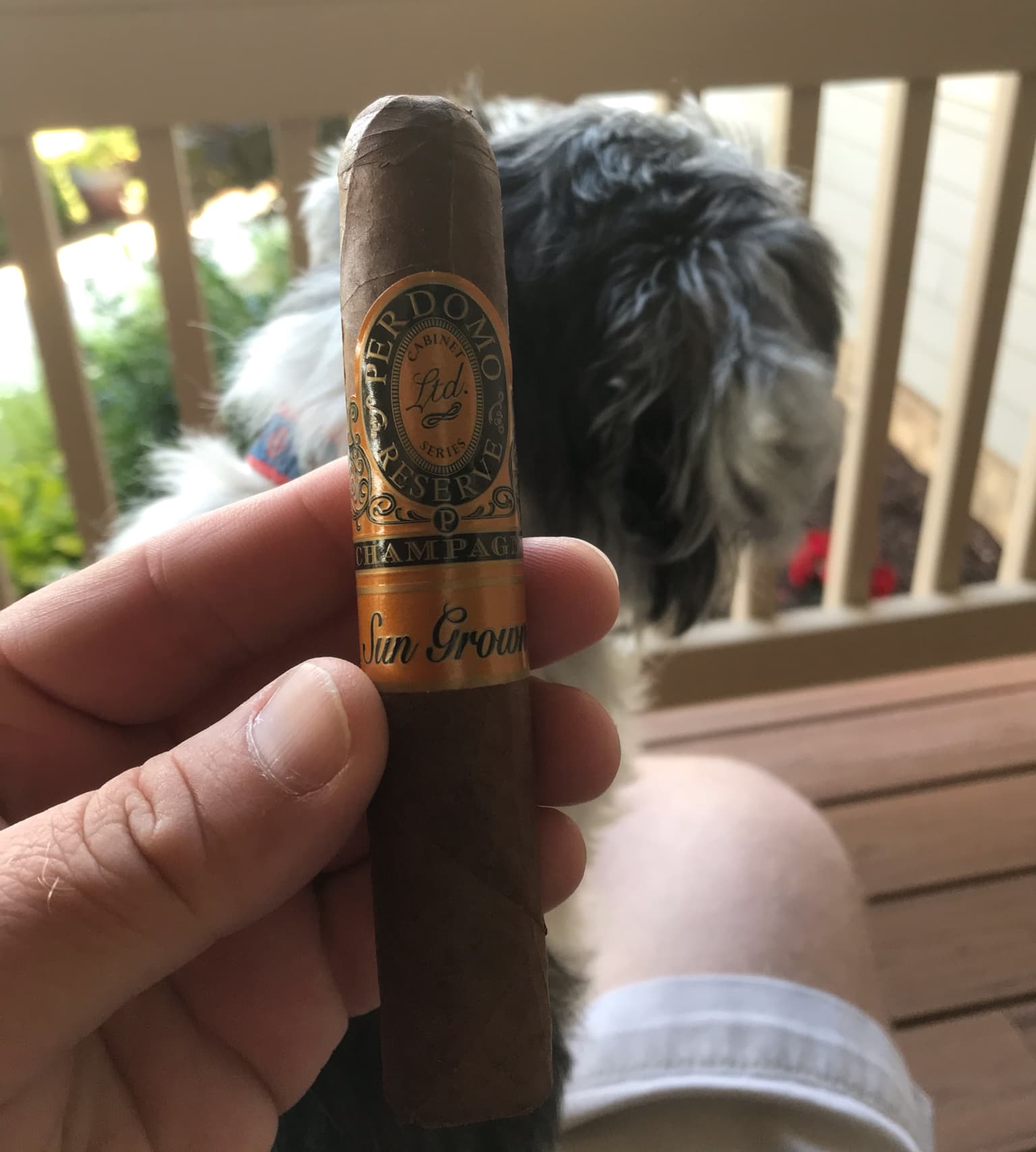 Champagne Sun Grown