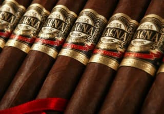 Casa Magna Colorado