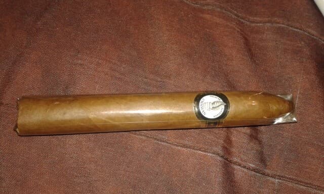 Chaman Torpedo