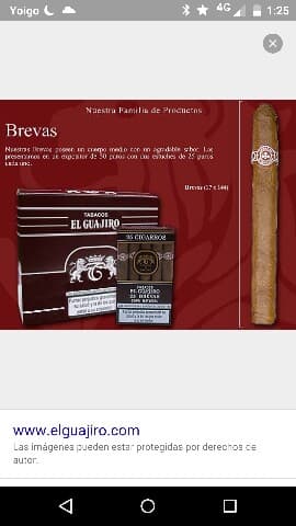 Brevas